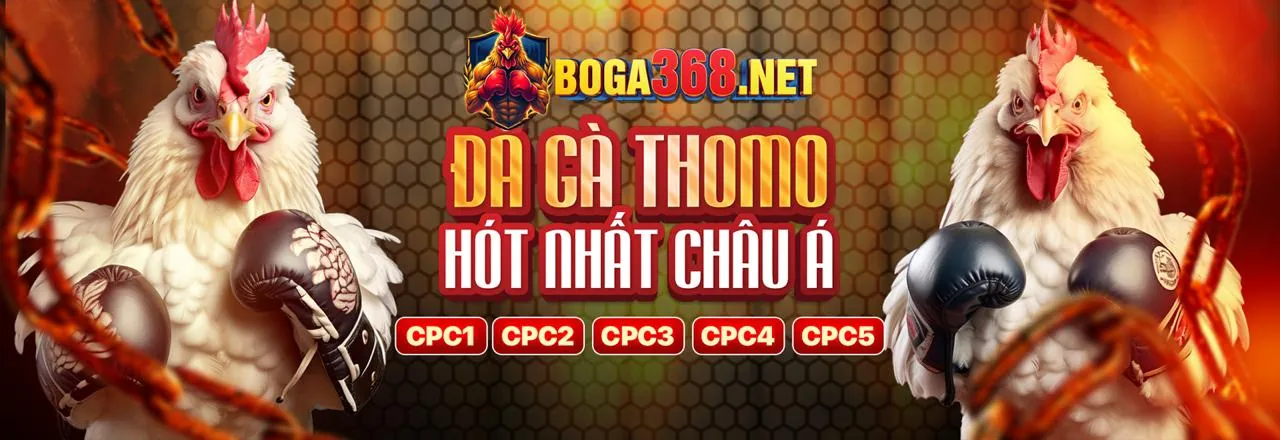 Đá gà trực tuyến kịch tính trên ứng dụng GA65 APK
